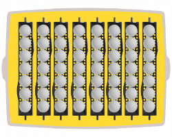 Placement des œufs dans la couveuse Brinsea Ovation 56 EX 56 œufs automatique