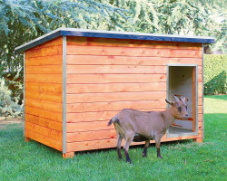 Abri cabri maison des chèvres en bois