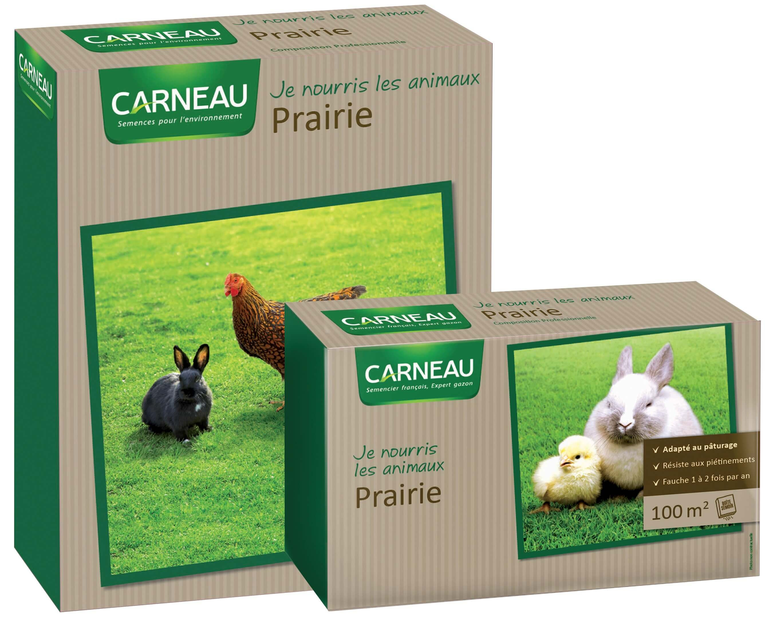 Gazon Prairie Carneau fourrage pâturage, semences et gazon Carneau