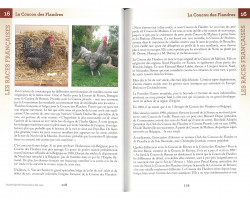 Intérieur du livre Le grand guide des poules et des coqs