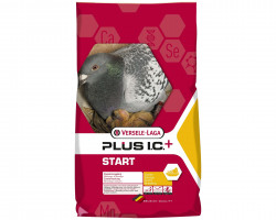 Mélange complet d'élevage pigeons Plus I.C.+ Start Versele-Laga 20 kg