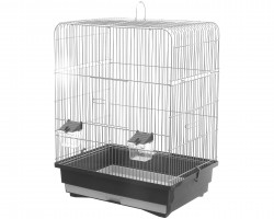 Cage oiseaux Thibo