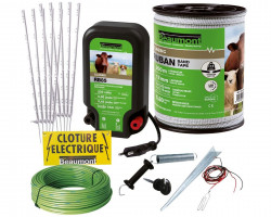 Kit clôture électrique anti-fugue pour grand chien Beaumont