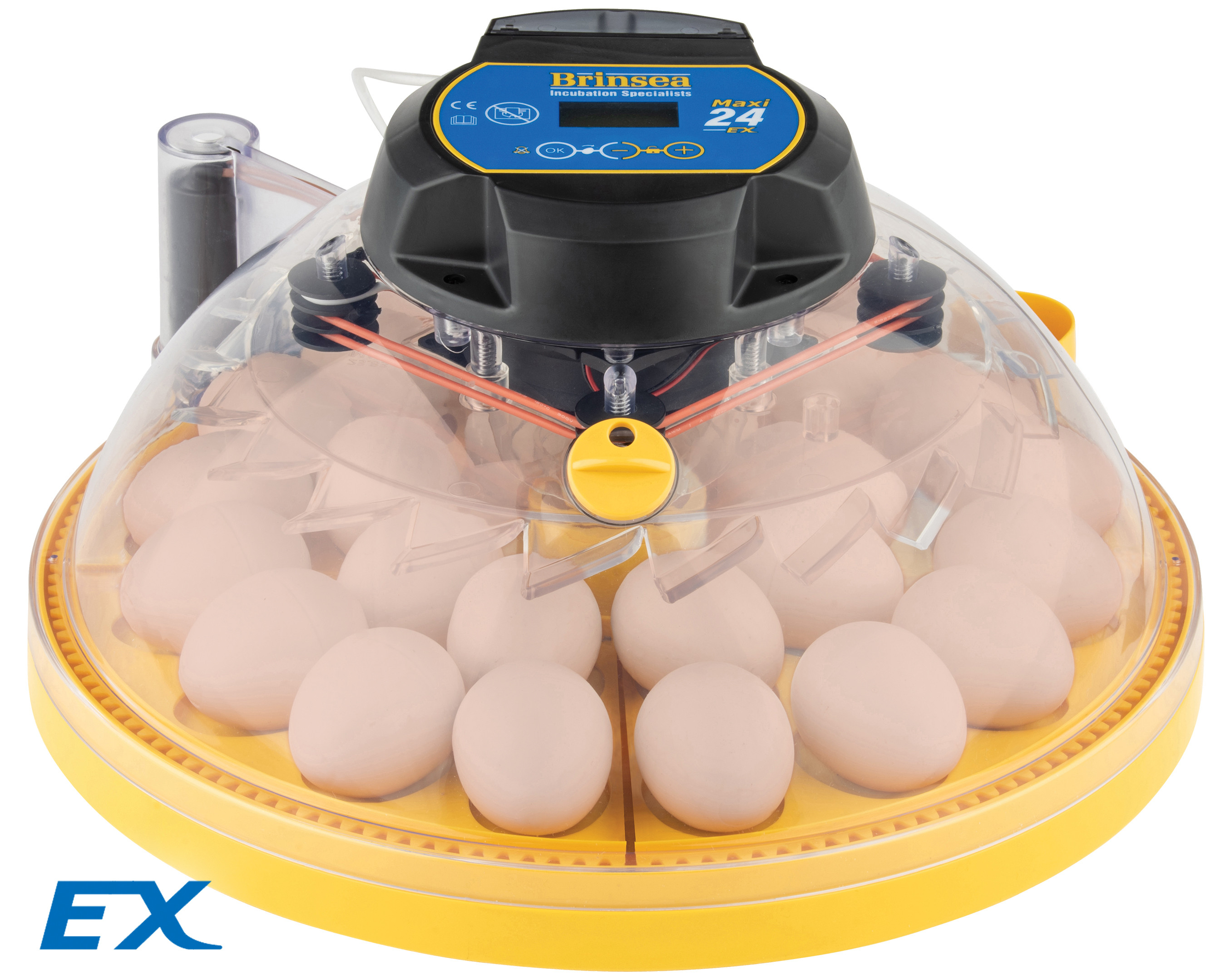 Couveuse Brinsea Maxi 24 EX 24 / 40 oeufs automatique régulation de l'humidité automatique