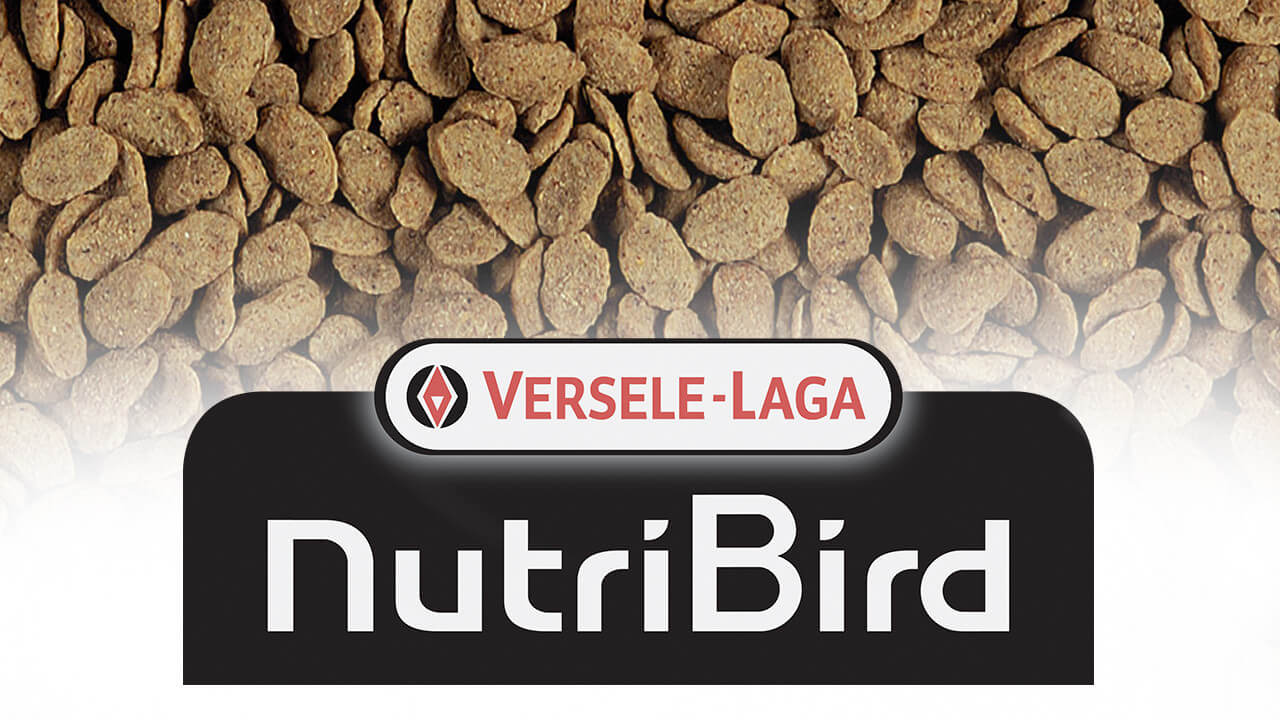 Des aliments NutriBird pour le bien-être de vos oiseaux