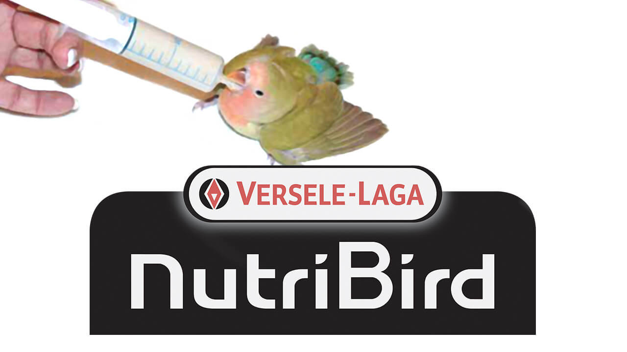 Bouillies NutriBird élevage à la main perruche perroquet Versele-Laga