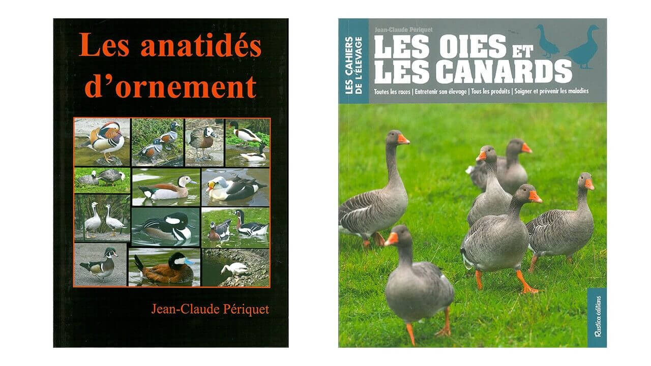 Livres Canards, oies et cygnes : élevage, races • Ferme de Beaumont