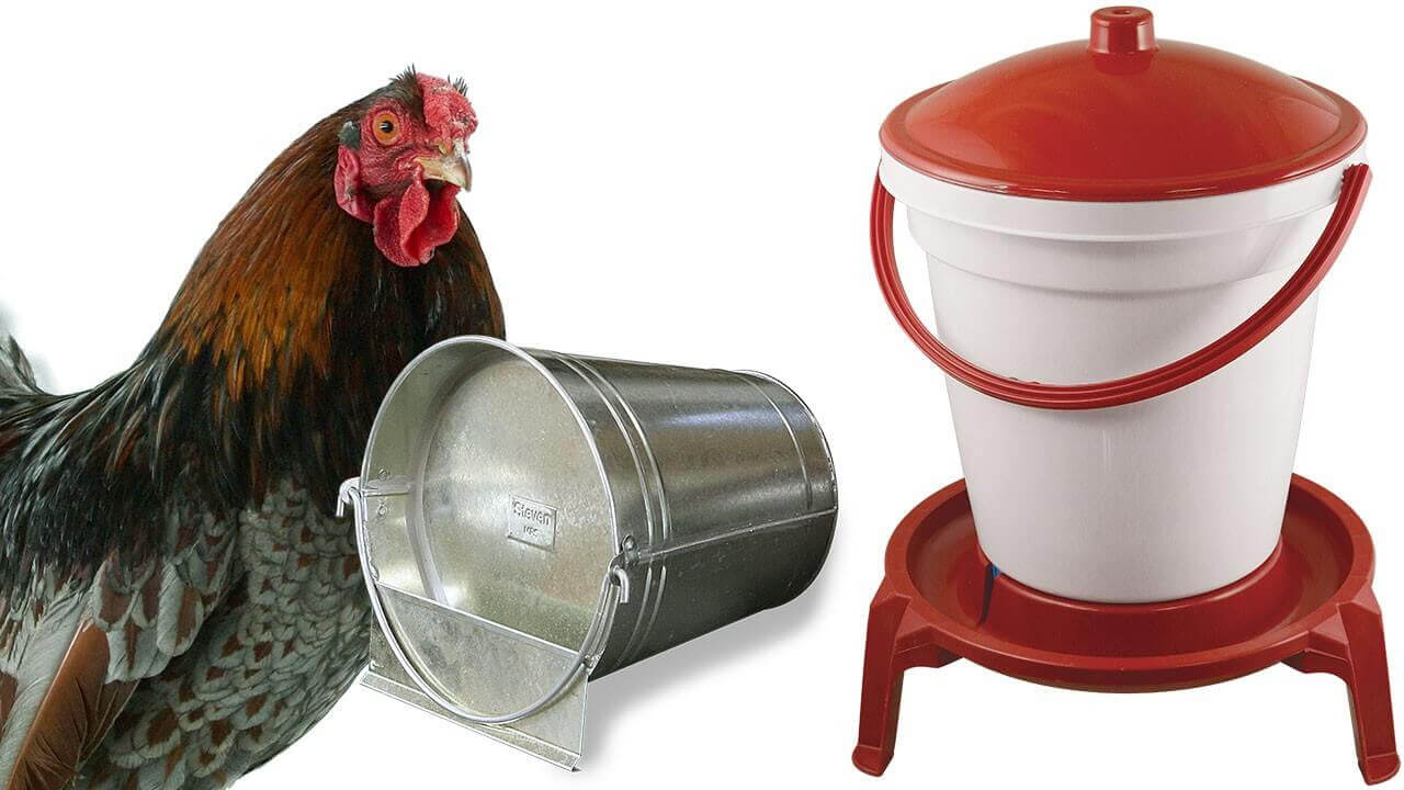 Abreuvoirs volailles, poules en PVC, métal • Ferme de Beaumont