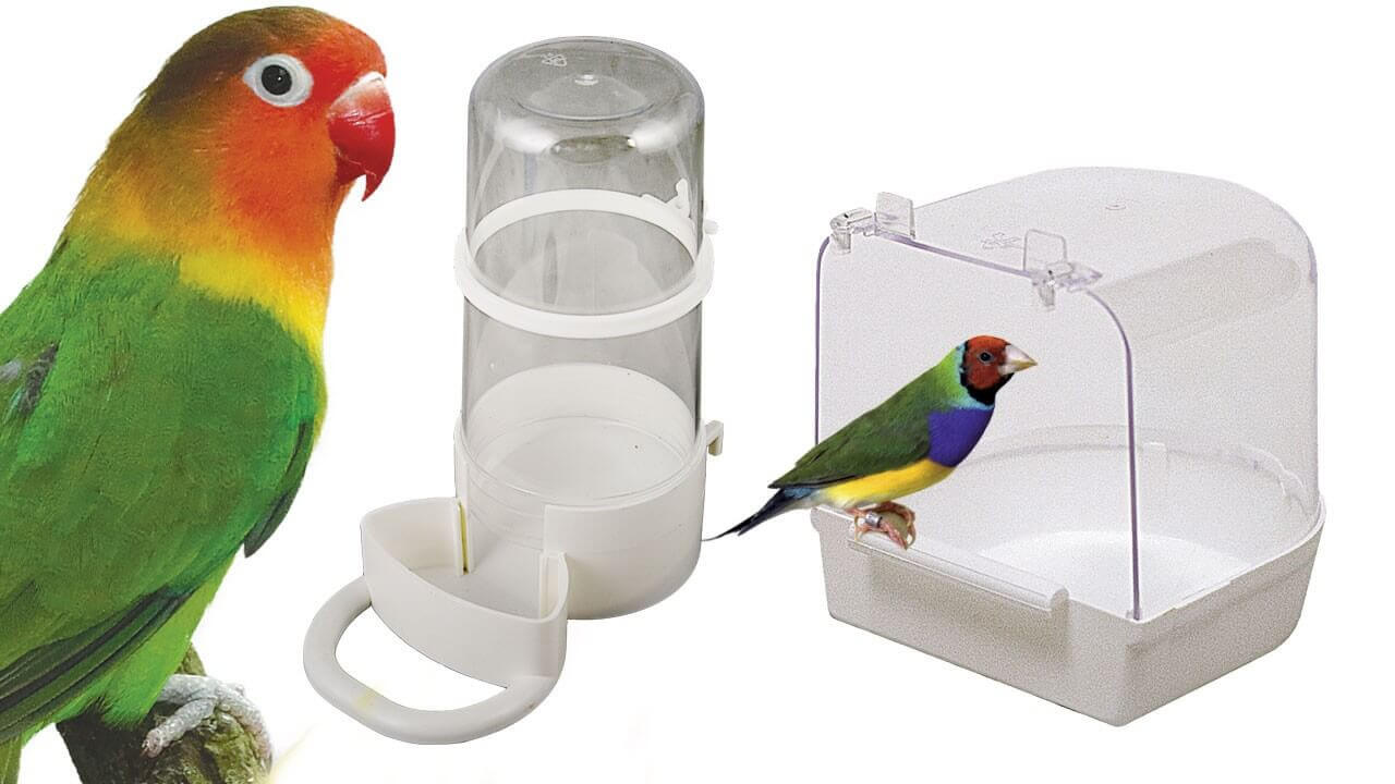 Des abreuvoirs conçus pour vos oiseaux : canaris, perruches, perroquets