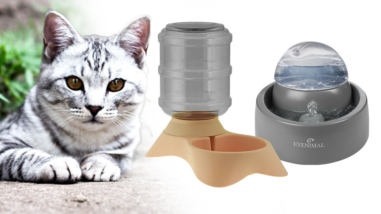 Abreuvoir, distributeur d'eau chiens chats • Ferme de Beaumont