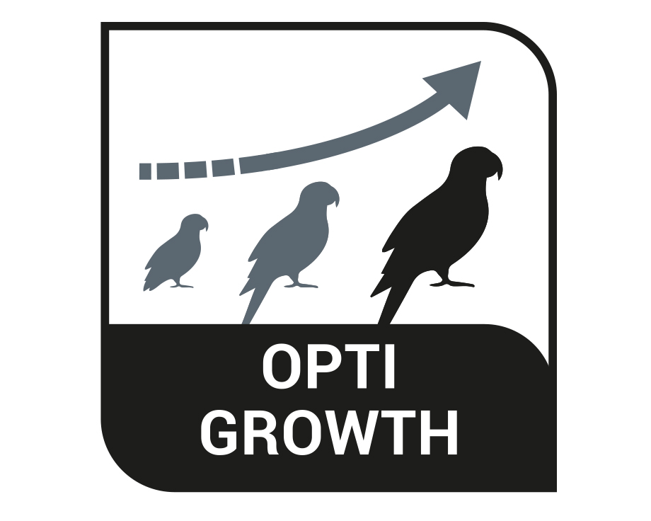OPTI GROWTH